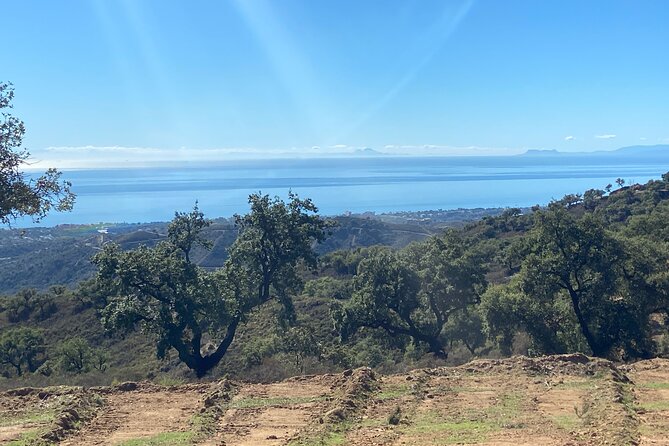 2 Hour Buggy Tour Off-Road Adventure in Mijas - Practical tips that help you enjoy the bumpy parts