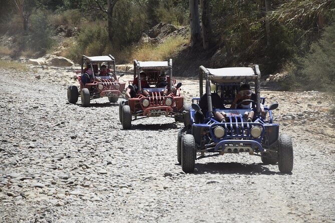 2 Hours Buggy Safari Experience in the Mountains of Mijas with Guide - What Went Right (and What Could Go Wrong)