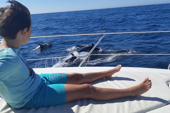 2 Hours Dolphin Watching in Marbella - Quick Hits Before You Go