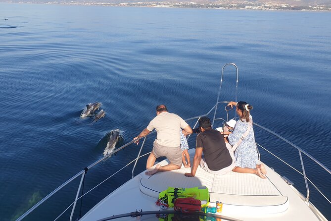 2 Hours Dolphin Watching in Marbella - From Lovit Charter in Nueva Andalucía to Open Water