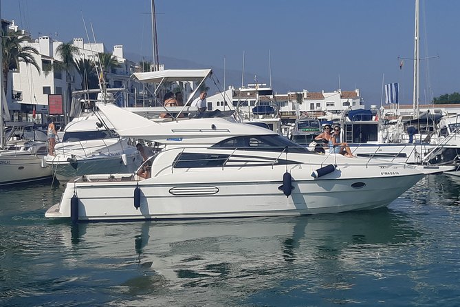 2 Hours Dolphin Watching in Marbella - Snacks, Drinks, and the Host Style That Matters