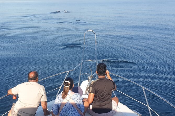 2 Hours Dolphin Watching in Marbella - Who This Works Best For (and Who Might Want a Different Option)