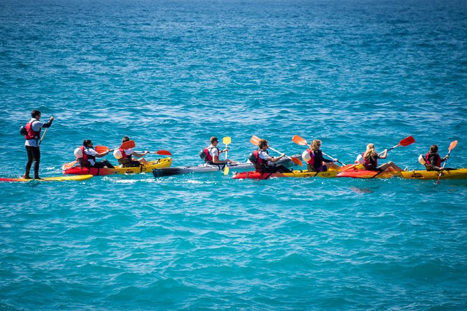 2 Hours Kayak Tour in Cerro Gordo Natural Park, La Herradura - The 2-Hour Flow: How the Paddling Usually Works