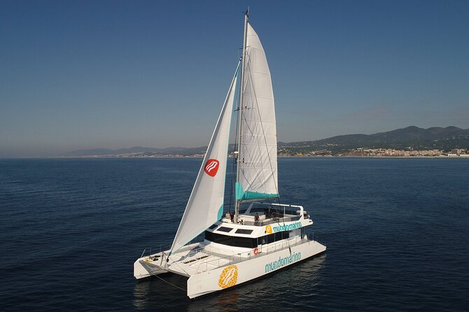 3-Hours Catamaran Tour in Malaga with Paella - The Swim Stop and the Bow Net Reality Check