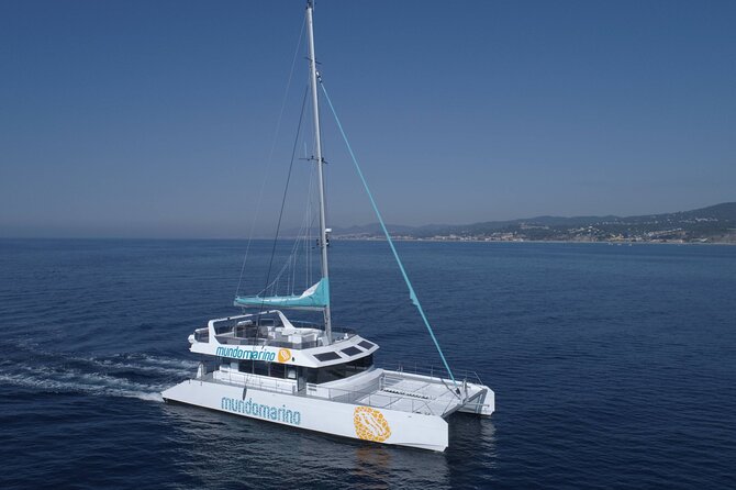 3-Hours Catamaran Tour in Malaga with Paella - Lunch on Board: Pork Paella, Salad, Bread, Dessert, and One Soda