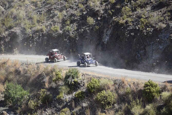3 Hours Guided Buggy Safari Adventure in the Mountains of Mijas - Your Buggy Setup: One Person Booking, Two Seats, Real Control