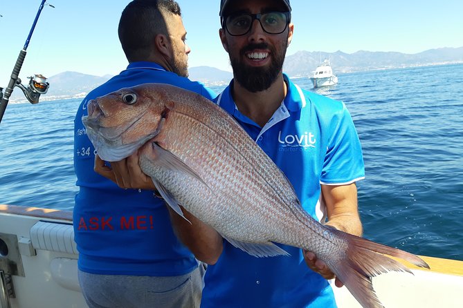 4 Hours Bottom Fishing Day by boat from Marbella - Marbella boat fishing, but with a real plan for your time