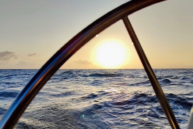 Activated Sailing trip 2 hours from Puerto de Banús Marbella - Wind, Dolphins, and Sunsets: How to Choose the Right Time Slot
