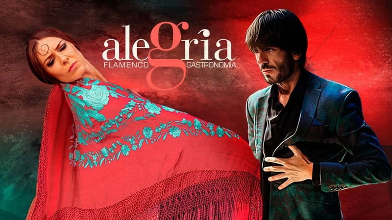 Alegria Flamenco in Malaga, with Transfer, Cocktail and Premium Location - Key Things I’d Prioritize