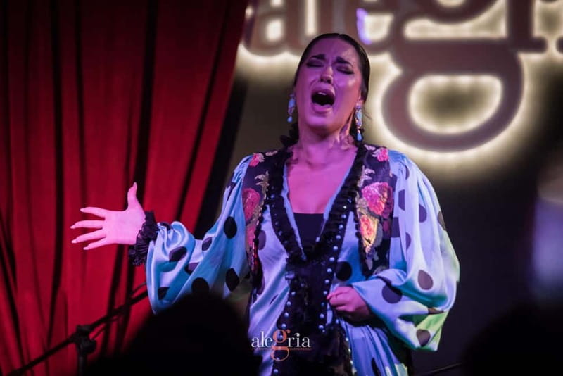 Alegria Flamenco in Malaga, with Transfer, Cocktail and Premium Location - What You’re Really Buying: Transfer + Premium Seats + Cocktail