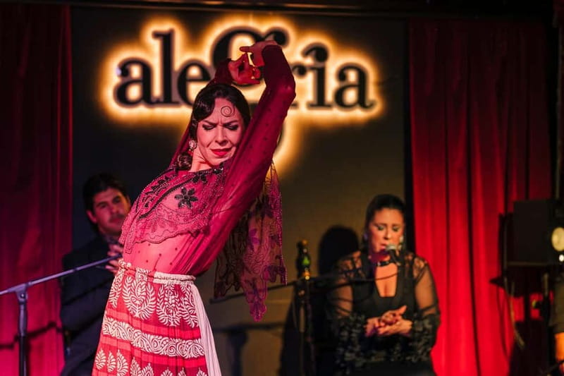 Alegria Flamenco in Malaga, with Transfer, Cocktail and Premium Location - Should You Book This Alegría Flamenco Package?