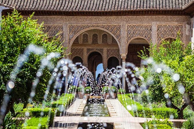 Alhambra Guided Tour from Malaga with Private Transportation - Private tour label vs real-world group size: what to expect
