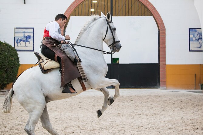 Andalusian Horses and Flamenco show with transportation - Flamenco and Horses: How the Show Balances Dance and Tricks