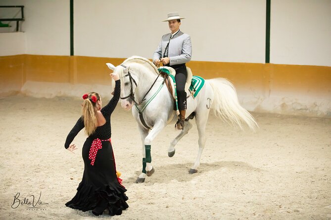 Andalusian Horses and Flamenco show with transportation - Doma Vaquera Choreography and the José Carlos González Guerrero Connection