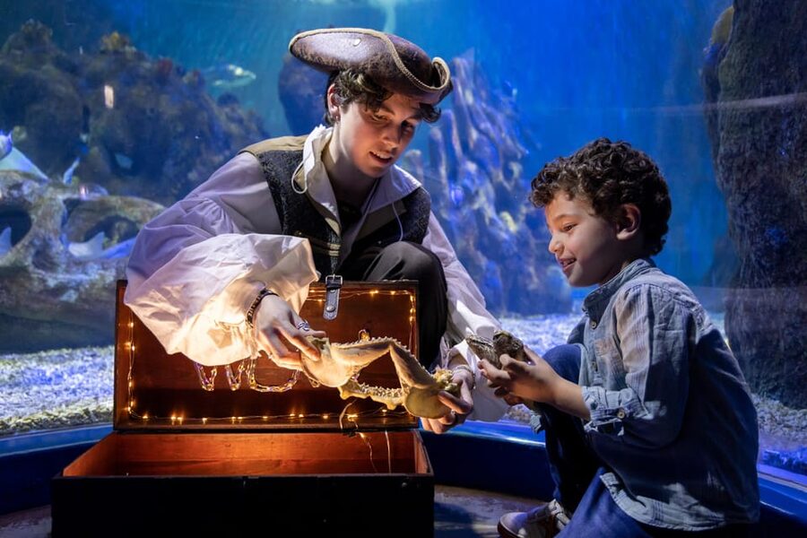 Benalmadena Aquarium Visit - Where Sea Life Benalmádena fits into your Costa del Sol day