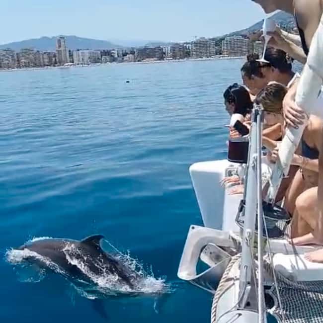 Benalmádena: Catamaran with dolphin watching and drinks - Key Things I’d Plan Around
