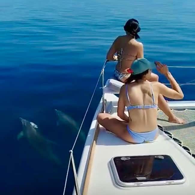 Benalmádena: Catamaran with dolphin watching and drinks - The Onboard Setup: Cava, Snacks, Bluetooth Music, and a Fridge for Your Stuff