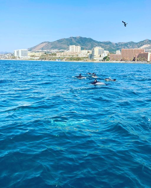 Benalmádena: Costa del Sol License-Free Boat Rental - Who This Fits Best (and Who Should Skip It)