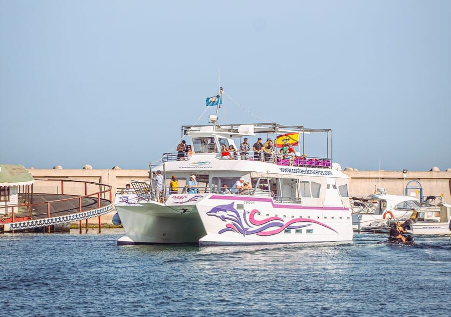 Benalmadena: Dolphin Watching Boat Tour - Key Things That Make This Dolphin Tour Worth It