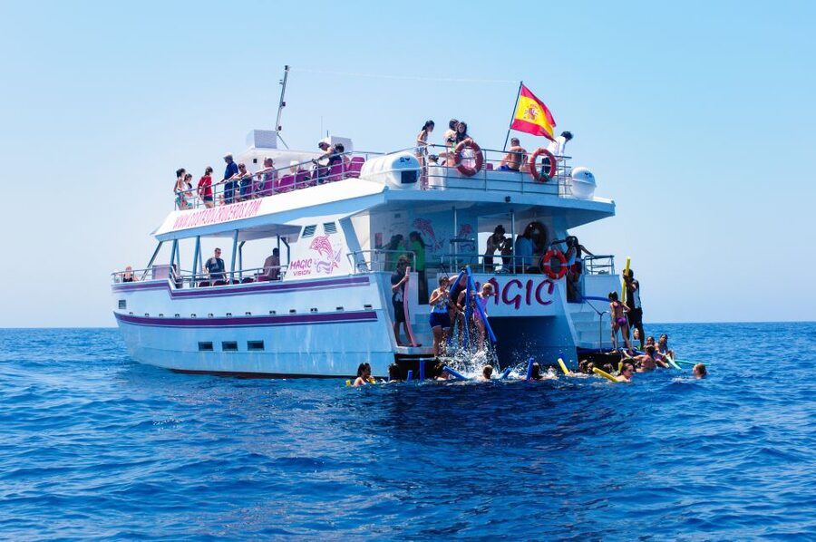 Benalmadena: Dolphin Watching Boat Tour - How to Improve Your Odds (and Your Comfort)