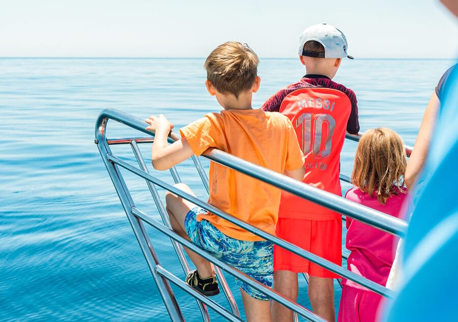 Benalmadena: Dolphin Watching Boat Tour - The Timeline: Scenic Cruise, a Secret Dolphin Stop, Then Sea Time