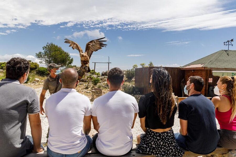 Benalmádena: Mount Calamorro Cable Car Ticket - Timing, queues, and how long you’ll actually spend up there