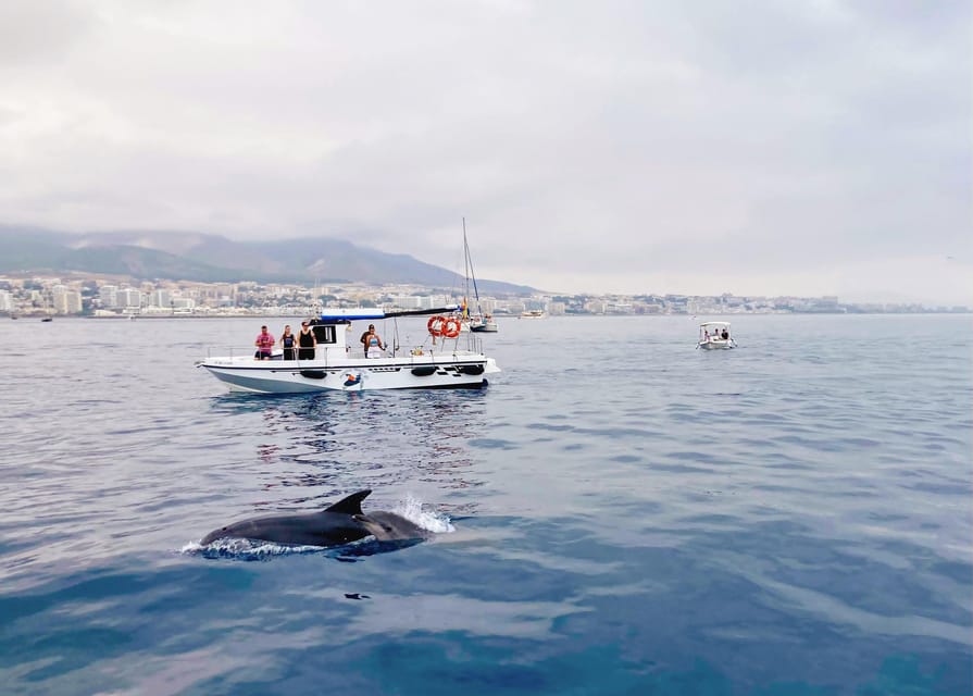 Benalmadena: Private Boat Trip – Dolphins, Drinks & Snacks - Drinking and snacks: the value part you’ll actually notice