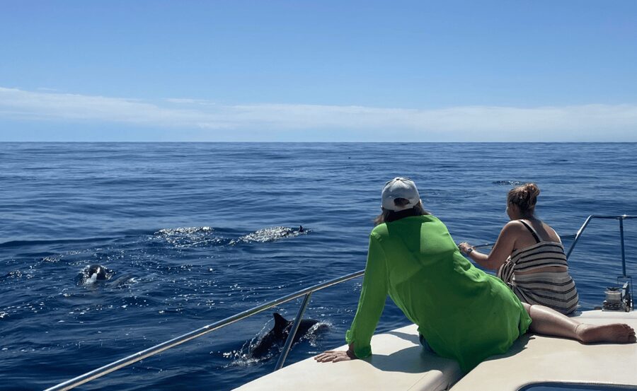 Benalmadena: Private Boat Trips - Dealing with sea conditions: when the captain adjusts the day