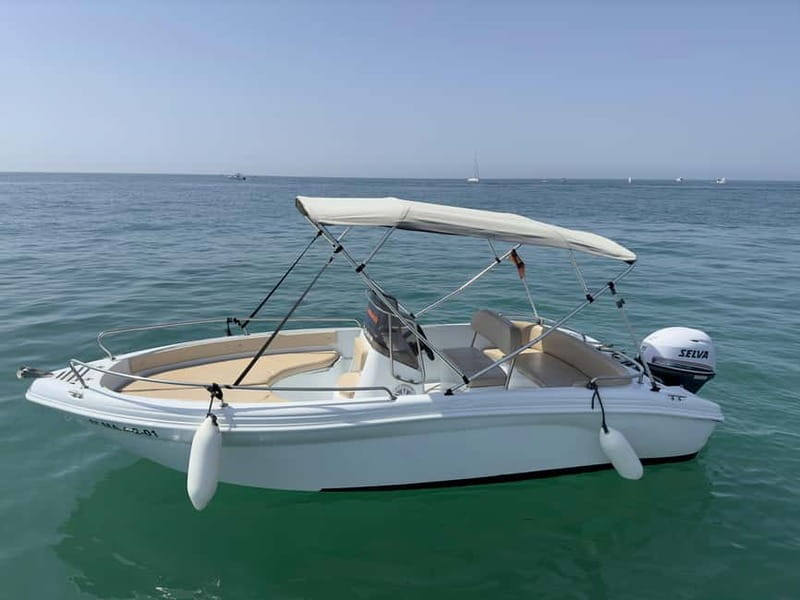 Benalmádena: Rent a Boat in Málaga License-Free by the Hour - Past the Breakwater: Dolphin-Watching in the Benalmádena Waters
