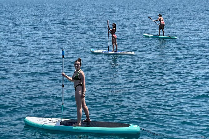 Benalmádena: Sailing and Dolphin Watching with Snacks and Drinks - Boarding realities: the plank, the crew, and staying comfortable