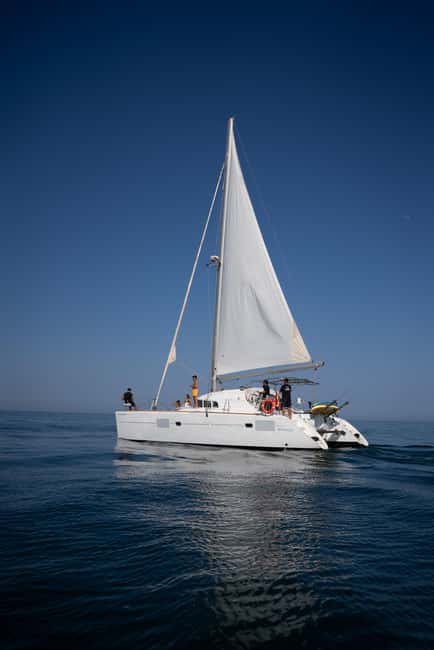 Benalmádena: Sailing & Dolphin Watching with Snacks/Drinks - Drinks and music: what’s included, what to plan for