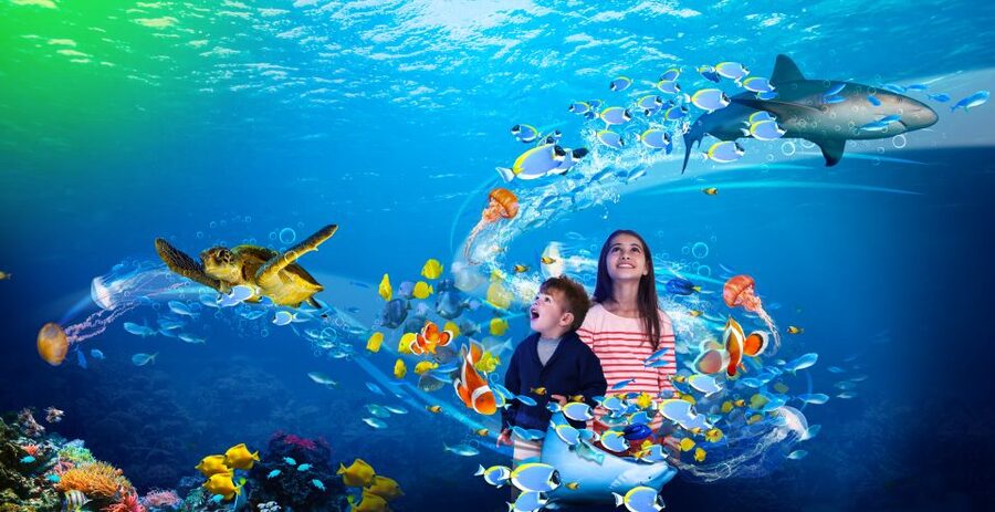 Benalmádena: Sea Life Benalmádena Premium Entry Ticket - Timing your day: how to use come-and-go re-entry
