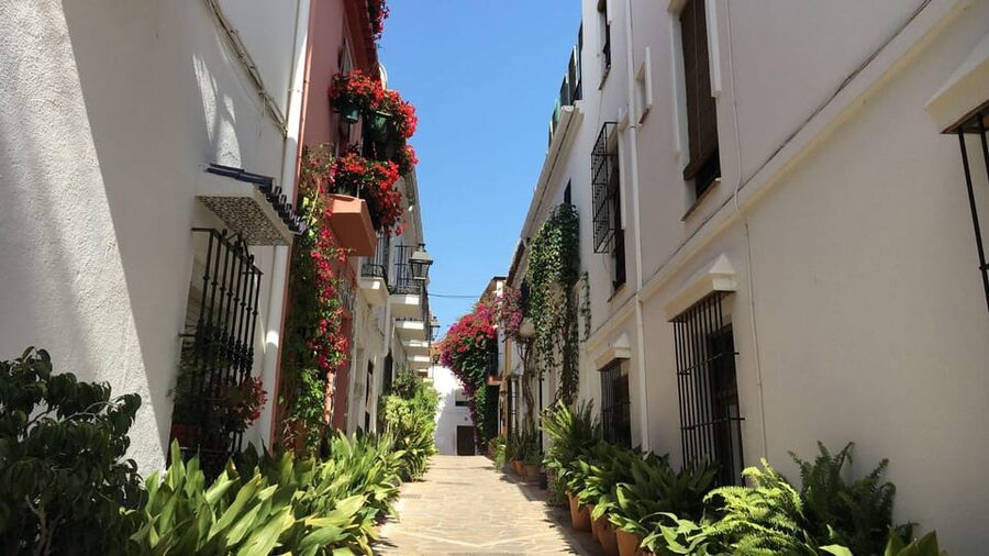 Best of Málaga: Private Walking Tour with a Local - Calle Larios Stroll: Shopping Tips Without the Hard Sell