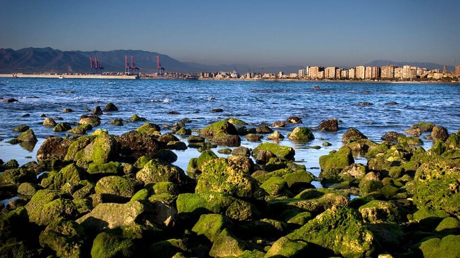 Best of Málaga: Private Walking Tour with a Local - Price and Value: Is $30 a Smart Deal?