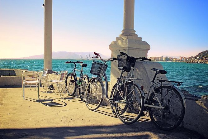 Bike Rental in Malaga - The waterfront ride: beaches, the port, and Palmeral de las Sorpresas