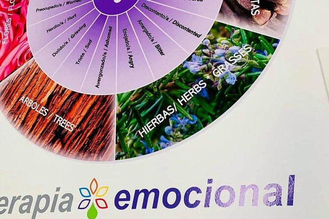 Bioenergetic manual therapies - Pre-sport, maintenance, and post-sport: timing your recovery in Málaga