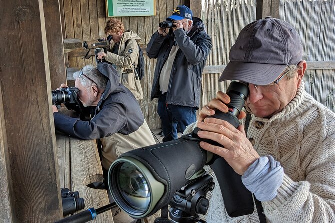 Birding Costa del Sol Day tour - Playa Guadalhorce and the Guadalhorce Estuary: waders, waterfowl, and the best-day species surge