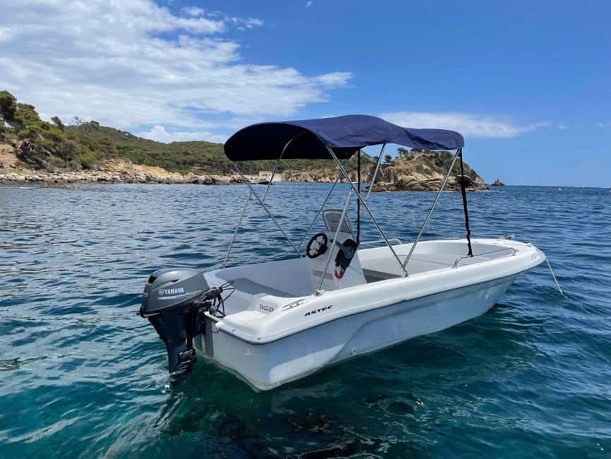Boat rental without a license in Malaga city for 1-6 people. - Price and Value: Is $117 for Up to 6 People Fair?