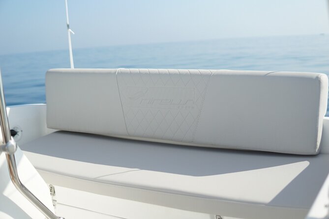 Boat Rentals without licence in Nerja - Wildlife moments: dolphins, flying fish, and sunfish sightings