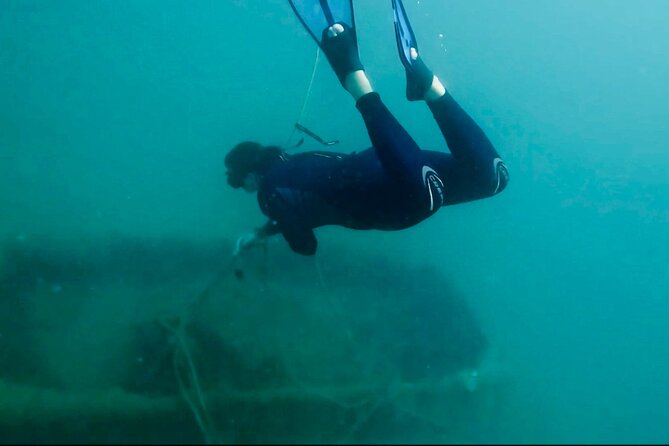 Boat Tour with Snorkeling, Water Slide, Lunch and Pick Up - Snorkeling the 1852 shipwreck: gear is included, fish sightings vary