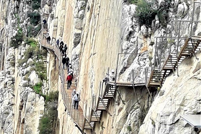 Caminito del Rey Group Tour directly from Malaga - Malaga meet-up: the Vialia pickup and timing that saves stress