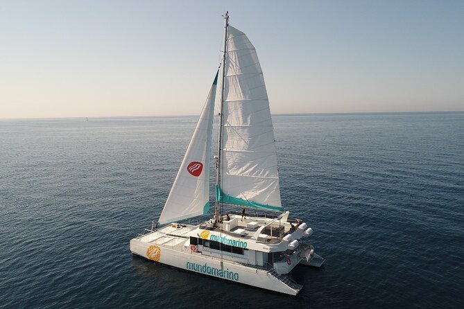 Catamaran tour with swimming stop in Malaga - Key things to know before you go