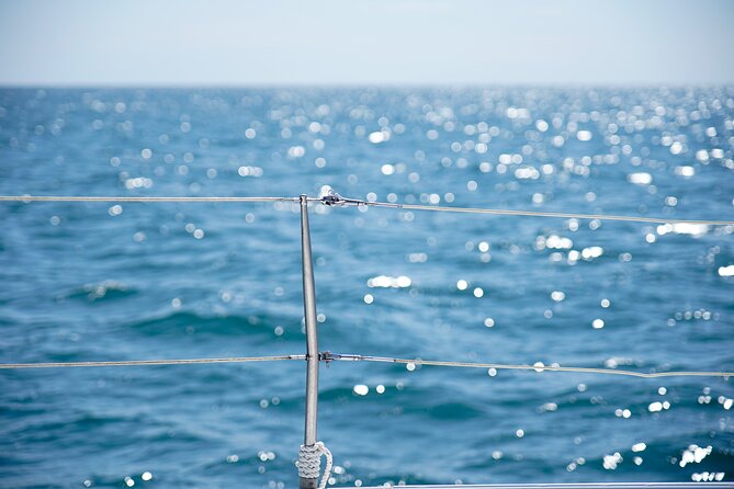 Catamaran tour with swimming stop in Malaga - Drinks on Board: The Onboard Bar and the No-Bring-Your-Own Rule