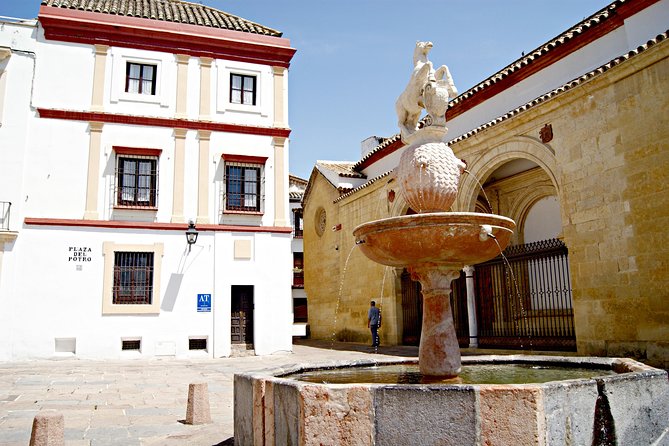 Cordoba and its Mosque Tour from Málaga - How the Málaga-to-Córdoba Day Trip Works (8 Hours, Small Group)