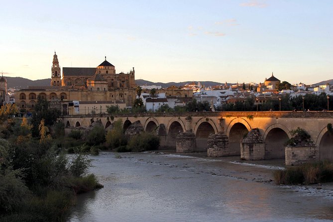Cordoba and its Mosque Tour from Málaga - Who This Tour Suits Best (And Who Might Feel Limited)