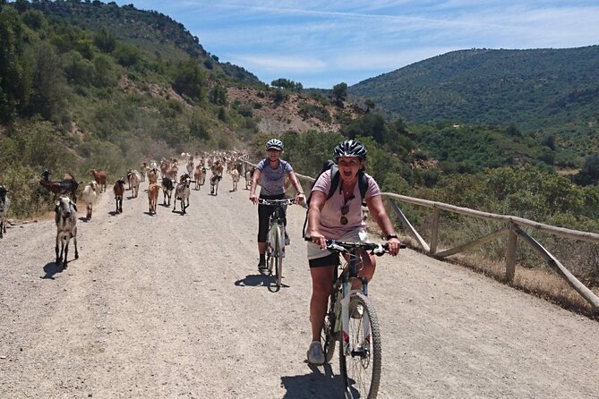 Cycling - Via Verde de la Sierra - 36km - Easy Level - Bike Setup, Lights, and Safety Gear: Why This Feels Low-Stress
