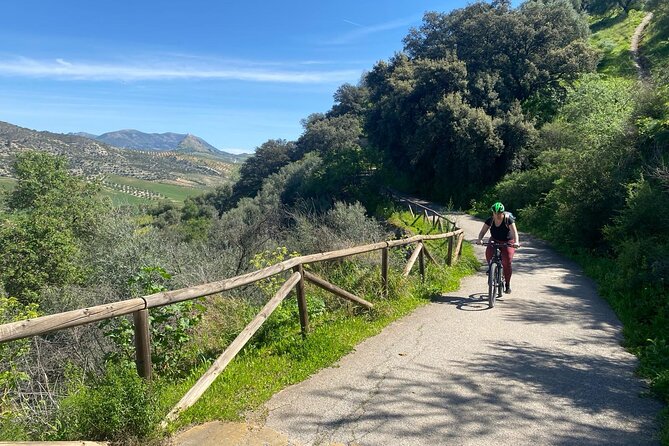 Cycling - Via Verde de la Sierra - Easy Difficulty - Ronda - A Half-Day Adventure From Ronda That Stays Friendly for Beginners
