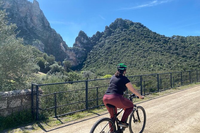 Cycling - Via Verde de la Sierra - Easy Difficulty - Ronda - Points of Interest: Stations, Cafés, and a Vulture Stop That Actually Teaches