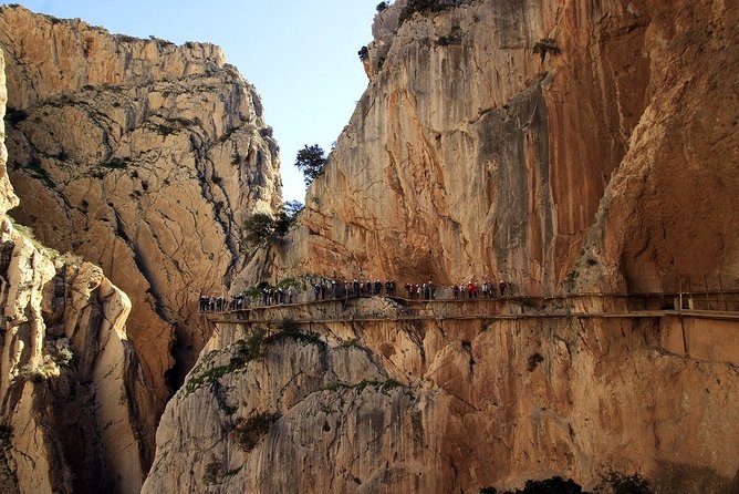 Dare to take a walk along the Caminito del Rey path private tour from Malaga - Guide storytelling: where the experience becomes more than scenery