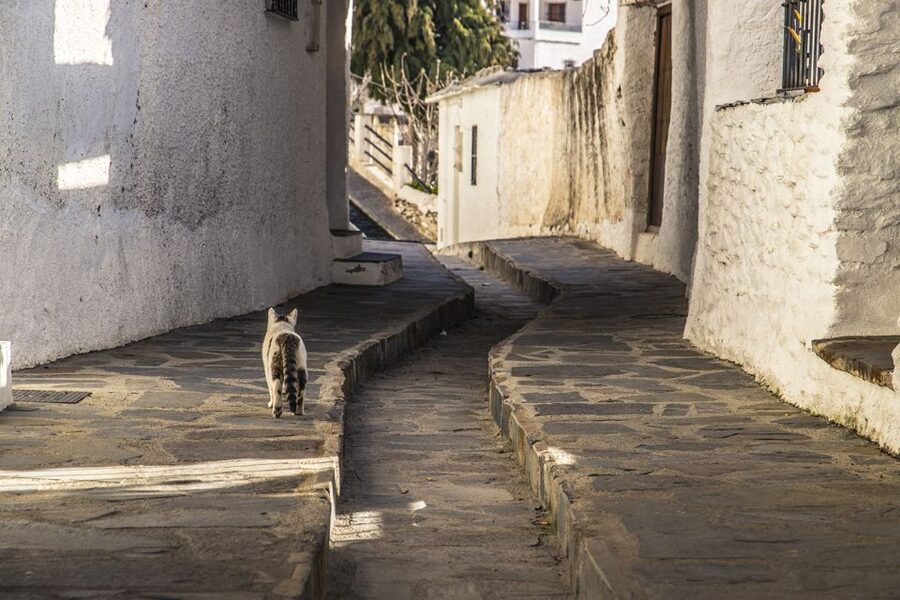 Discovering Las Alpujarras from Málaga - SemiPrivate - Lanjarón (about 40 minutes): a cultural mix you can feel